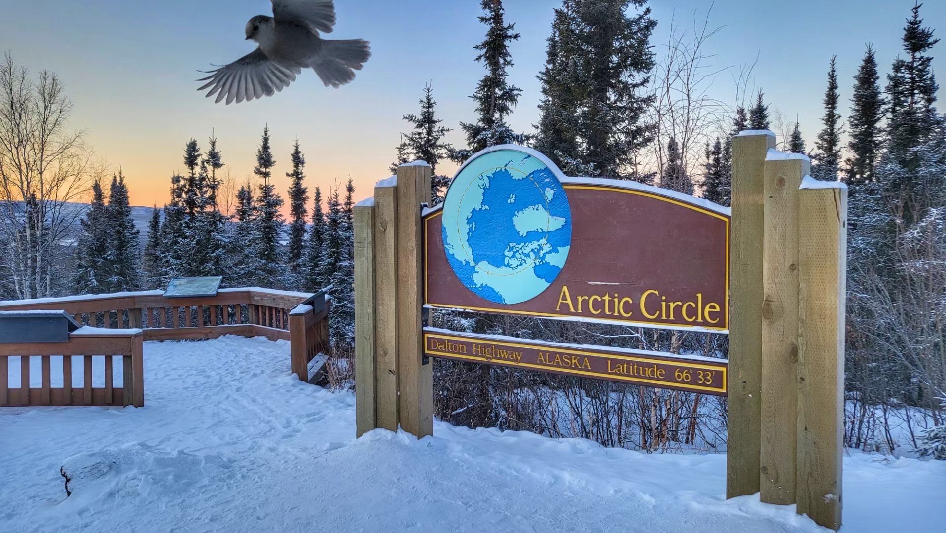 Arctic Circle Adventure